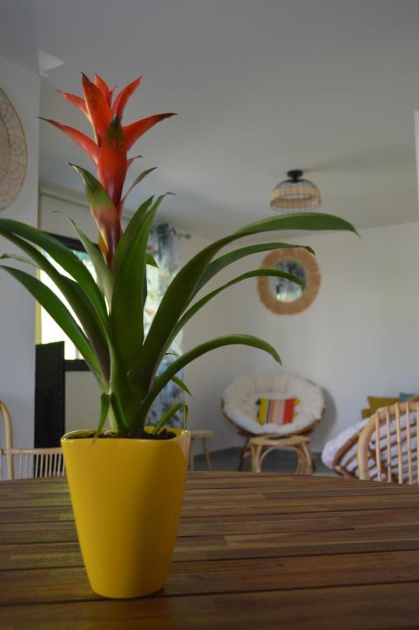 Zen Vanilla Home, Maison Exotique Entre Annecy Et Geneve Cruseilles Exterior photo